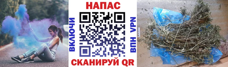 KRAKEN ссылки  Бежецк  Канабис гибрид  закладки 